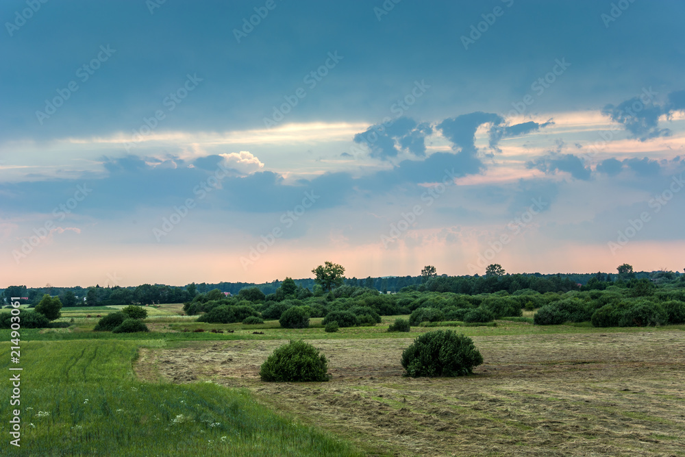 Obraz premium Rainy clouds over the meadows