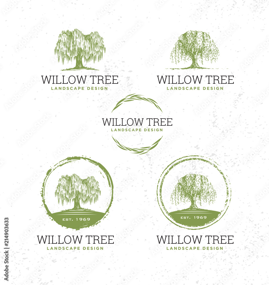 Willow Tree Landscape Design Creative Vector Nature Friendly Sign Concept. Sustainable Eco Illustration