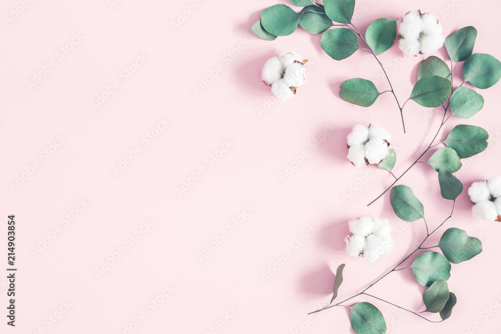 Eucalyptus leaves and cotton flowers on pastel pink background. Flat lay, top view Eucalyptus leaves and cotton flowers on pastel pink background. Flat lay, top view