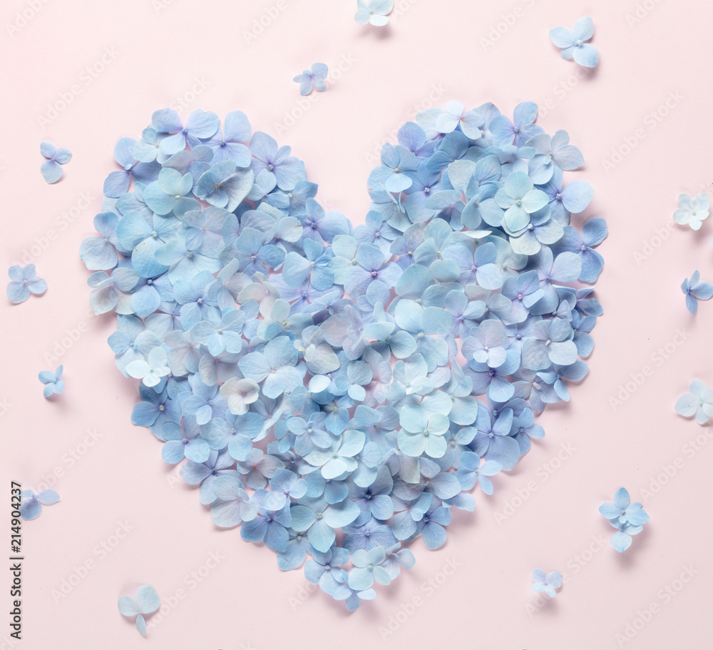 Heart from hydrangea petals Heart from hydrangea petals