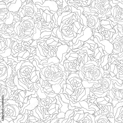 Fototapeta Naklejka Na Ścianę i Meble -  Carnation Flower Outline Seamless Background
