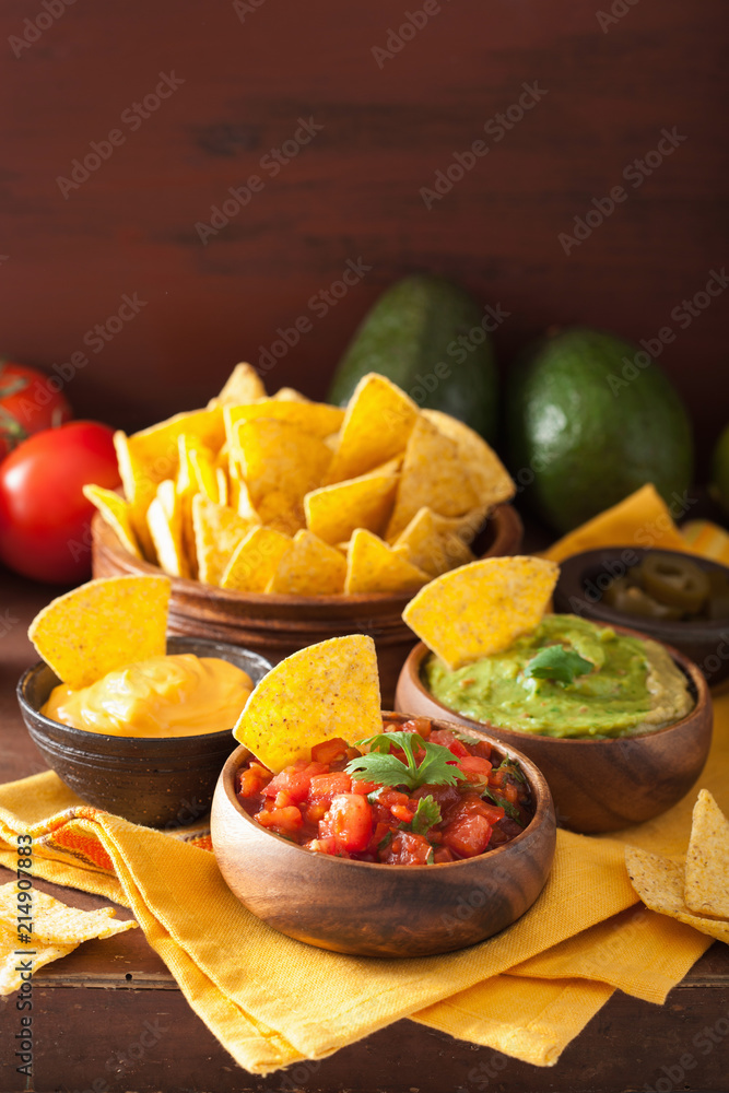 mexican nachos tortilla chips with guacamole, salsa and cheese dip