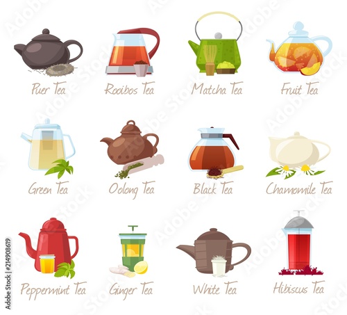 Tea vector puer-tea and rooibos or matcha fruity drinks in teapot illustration drinking set of green or black tea in cafe isolated on white background