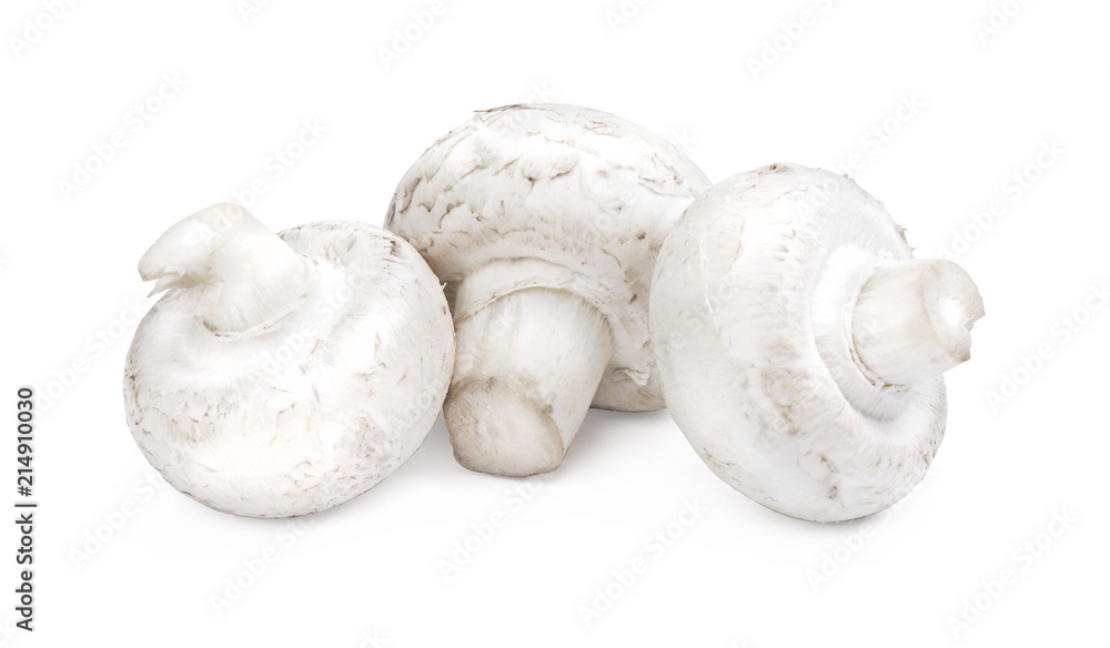 Group of champignons Group of champignons