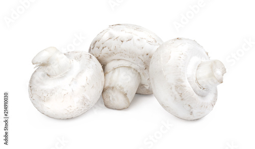 Group of champignons