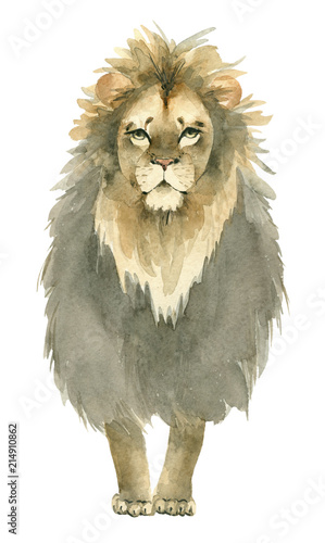 hand drawn lion