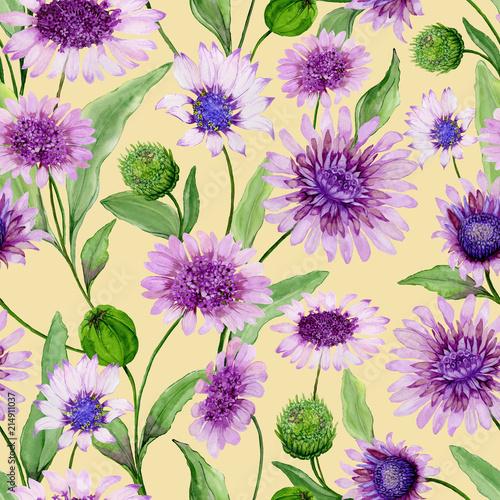 Beautiful purple daisy flowers with closed buds and leaves on light yellow ba...