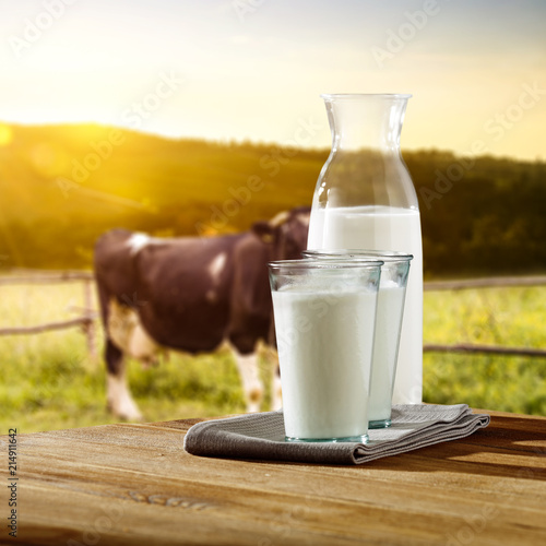 fresh cold milk and morning rural landscape with cow 