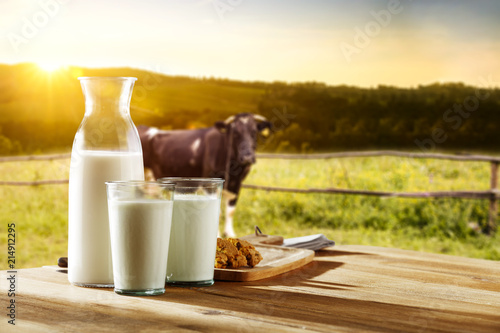 Valokuvatapetti Photo of milk and cow
