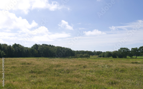 Laesoe / Denmark: View over the lush pastureland in Vesteroe Havn