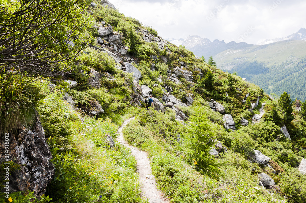 Sils, Segl, Val Fex, Fextal, Wanderweg, Wanderer, Marmorè, Fexgletscher, Alpen, Oberengadin, Graubünden, Sommer, Schweiz Sils, Segl, Val Fex, Fextal, Wanderweg, Wanderer, Marmorè, Fexgletscher, Alpen, Oberengadin, Graubünden, Sommer, Schweiz