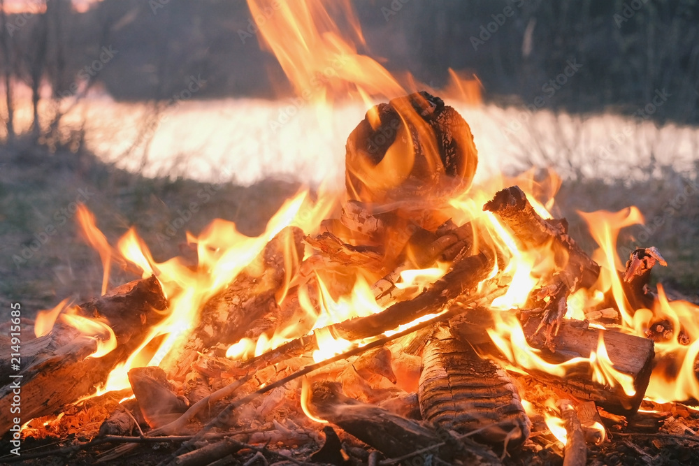 Fototapeta premium Burning bonfire of dry branches in the forest in riverbank close-up.
