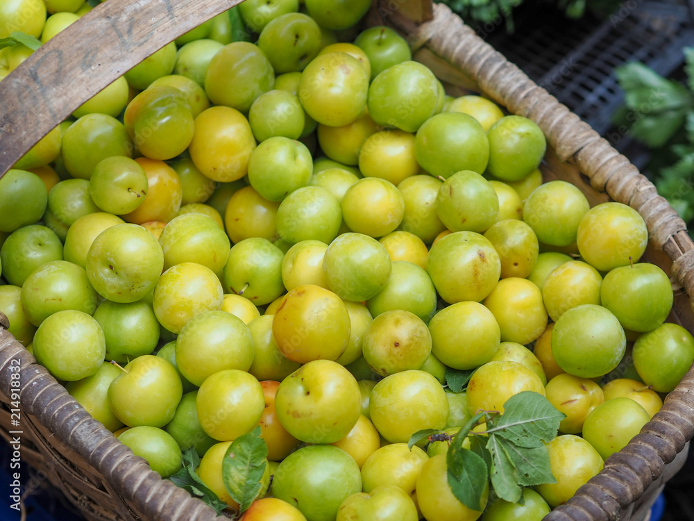 fresh green plums in the newly collected basket fresh green plums in the newly collected basket
