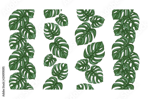 Monstera seamless borders set