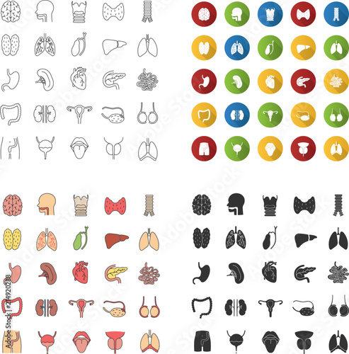 Internal organs icons set