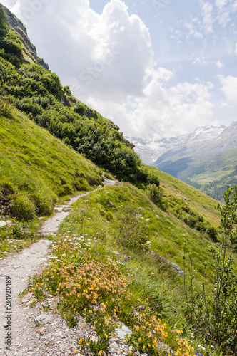 Sils, Fextal, Val Fex, Fexgletscher, Piz Tremoggia, Wanderweg, Alm, Oberengadin, Graubünden, Sommer, Schweiz