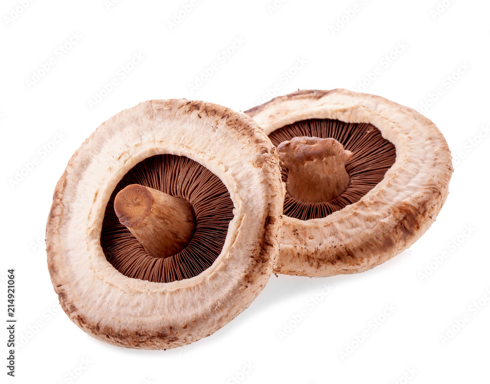 portobello mushrooms, isolated on white background. portobello mushrooms, isolated on white background.