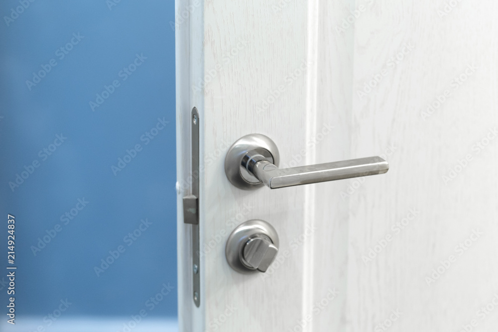 Detail of a metallic knob on white door horizontal