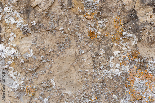 stone texture lichen orange