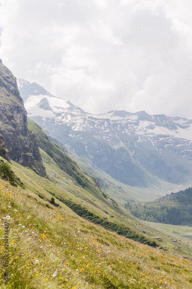 Sils, Fextal, Val Fex, Fexgletscher, Piz Tremoggia, Wanderweg, Alm, Alpen, Gletscher, Oberengadin, Graubünden, Sommer, Schweiz