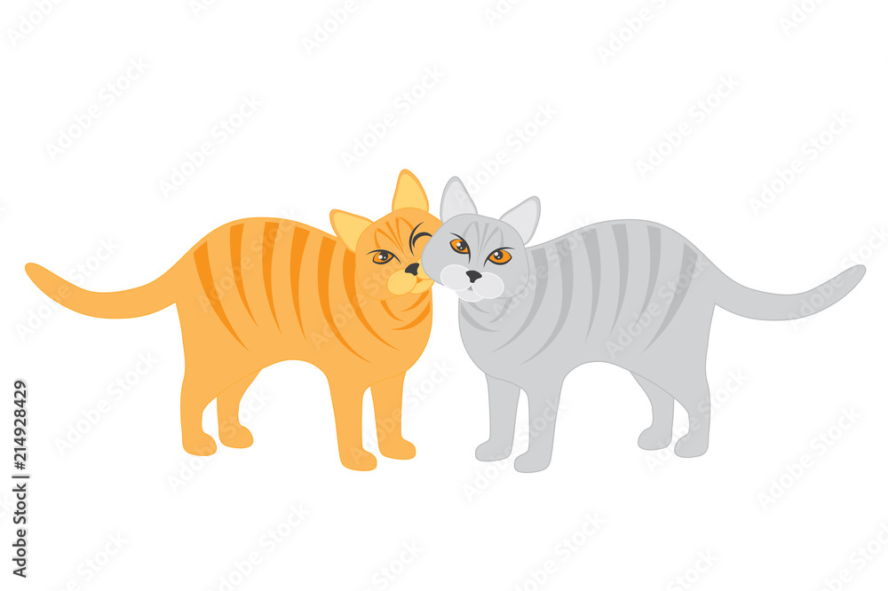 Pair of Cats Snuggling isolated on white background vector Illustration