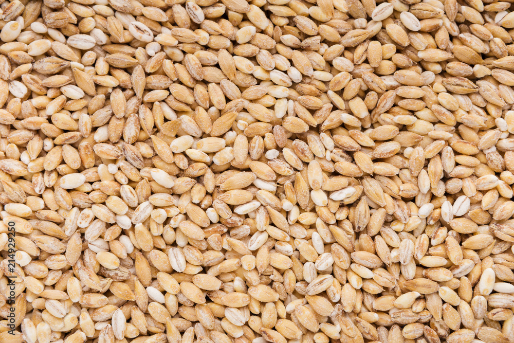 Dry wheat grains texture Dry wheat grains texture