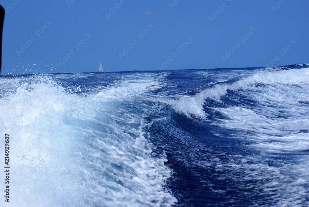 Fototapeta premium mar adentro