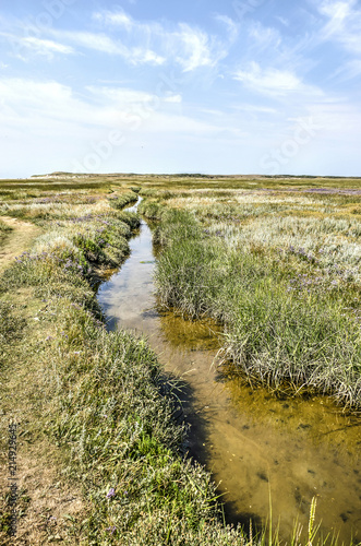 One of many tidal creeks in the Slufter nature reserve on the Dutch island of Texel