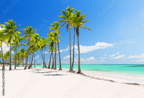 Fototapeta Naklejka Na Ścianę i Meble -  Coconut Palm trees on white sandy beach