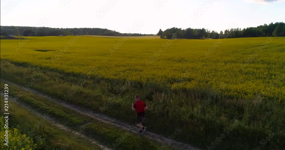 Man running on the countryside, C4K aerial pan view following a male jogging between rape flower fields, on a sunny summer evening sunset, in Uusimaa, Finland Man running on the countryside, C4K aerial pan view following a male jogging between rape flower fields, on a sunny summer evening sunset, in Uusimaa, Finland