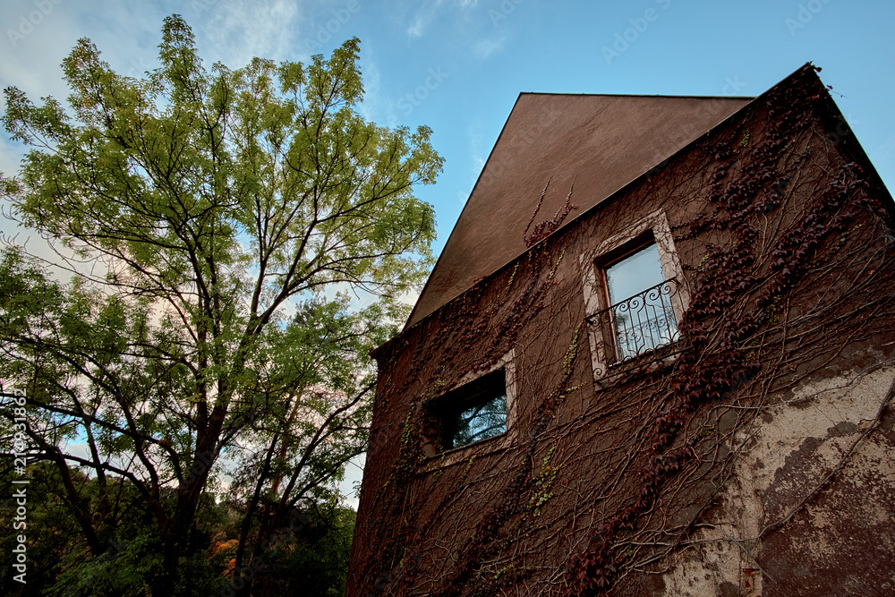 Beautiful house with a tree view in Uvoz street of Old Town Prague near vineyard on a hill in Prague, Czech Republic Beautiful house with a tree view in Uvoz street of Old Town Prague near vineyard on a hill in Prague, Czech Republic
