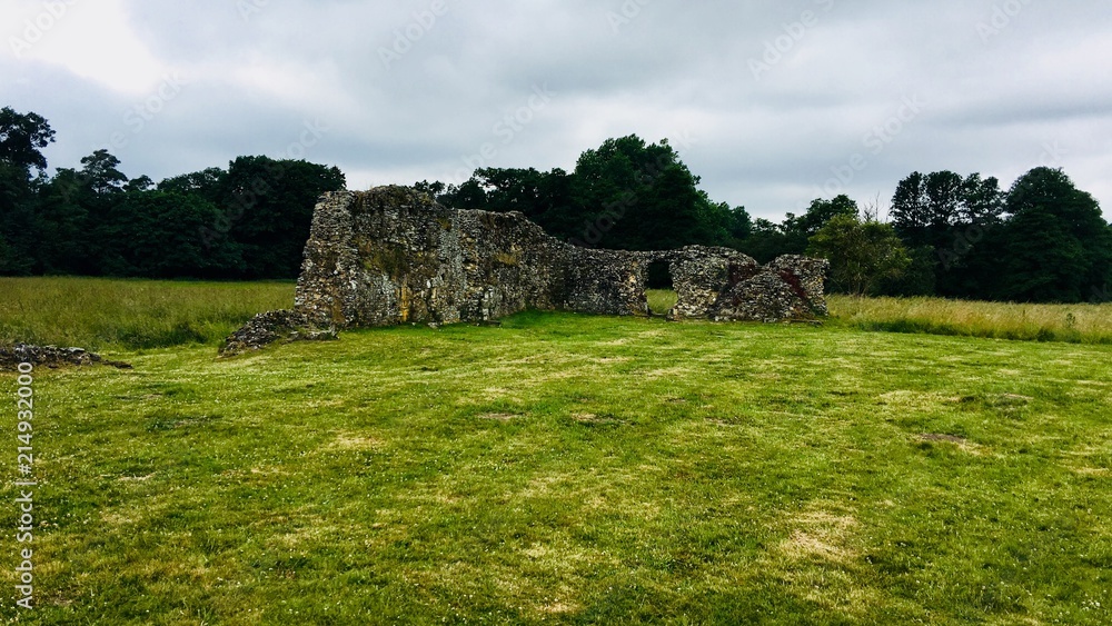 Old ruins in Farnham