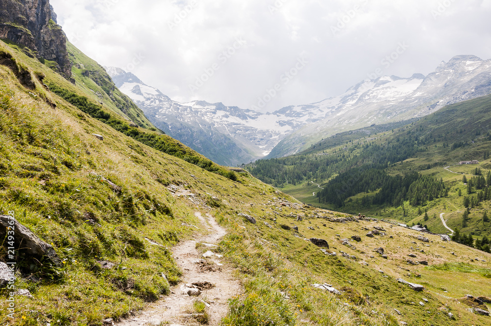 Sils, Fextal, Val Fex, Fexgletscher, Piz Tremoggia, Wanderweg, Alm, Oberengadin, Graubünden, Sommer, Schweiz Sils, Fextal, Val Fex, Fexgletscher, Piz Tremoggia, Wanderweg, Alm, Oberengadin, Graubünden, Sommer, Schweiz