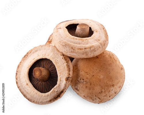 portobello mushrooms, isolated on white background.