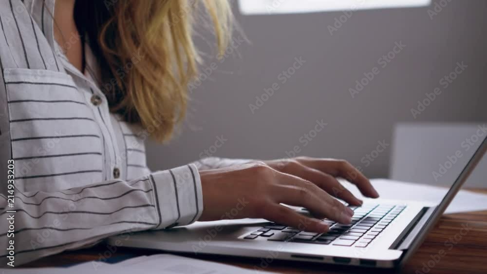 Smiling young businesswoman using her laptop at the office Smiling young businesswoman using her laptop at the office