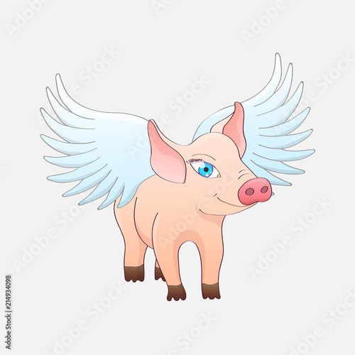 Funny pig with wings isolated on a gray background