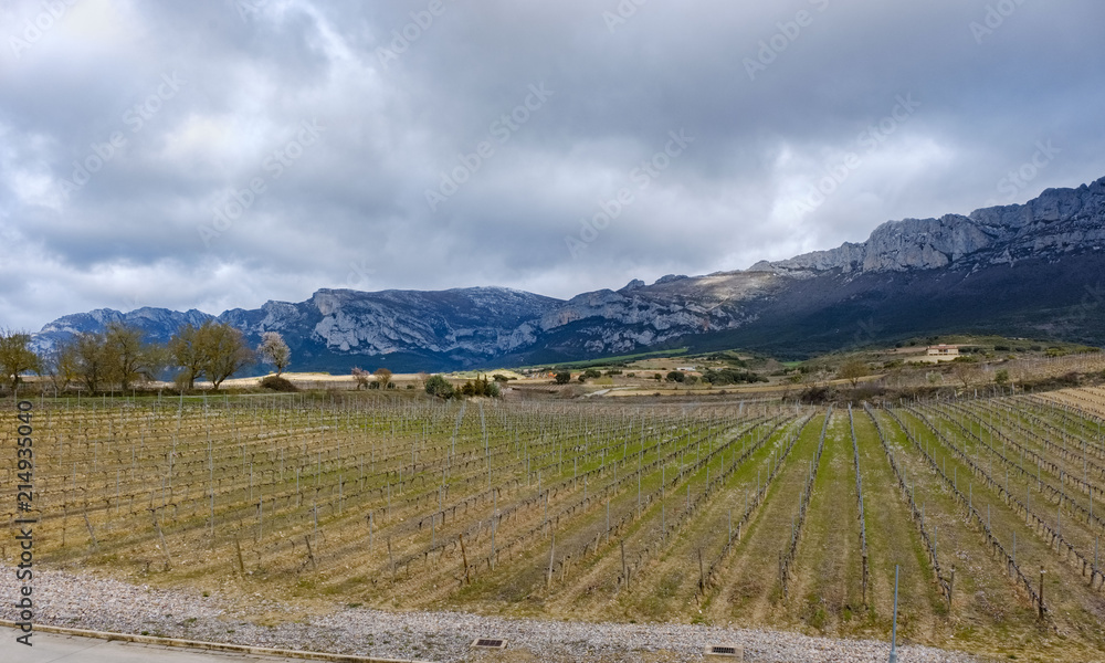 View of a vineyard with strains perfectly aligned but without leaves or grapes on a very cold and cloudy winter day, with large mountains in the background