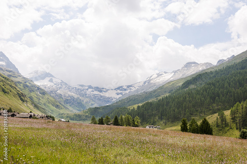 Sils, Segl, Val Fex, Fextal, Val Fedoz, Fexgletscher, Oberengadin, Alpen, Graubünden, Wanderweg, Sommer, Schweiz