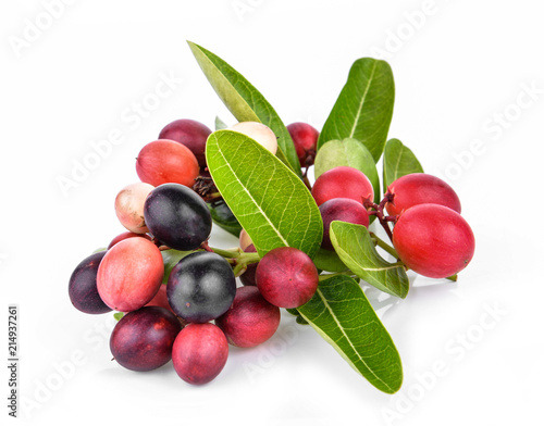 Karanda Fruits isolated on white background