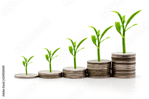 Plant growing from coins