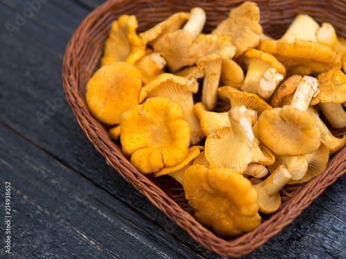 Mushrooms chanterelles in a basket on a wooden background rustic