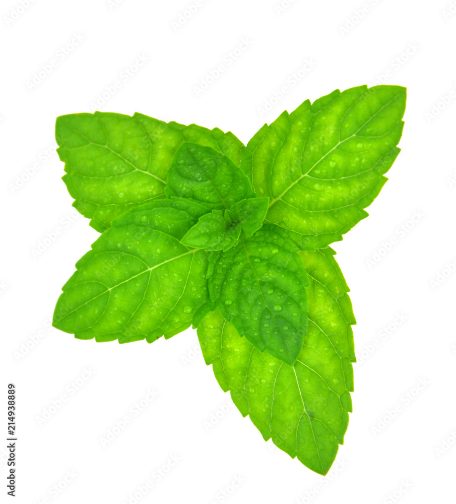 Fresh mint leafs isolated on a white background Fresh mint leafs isolated on a white background