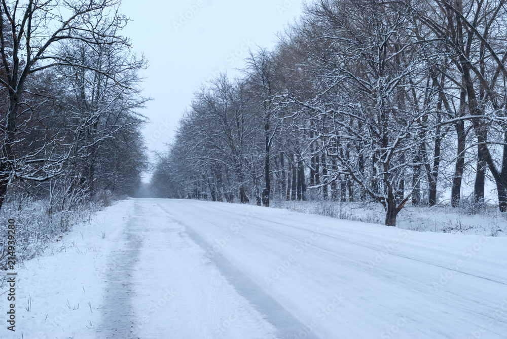 Winter road, Ukraine Winter road, Ukraine