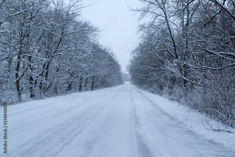 Winter road, Ukraine Winter road, Ukraine
