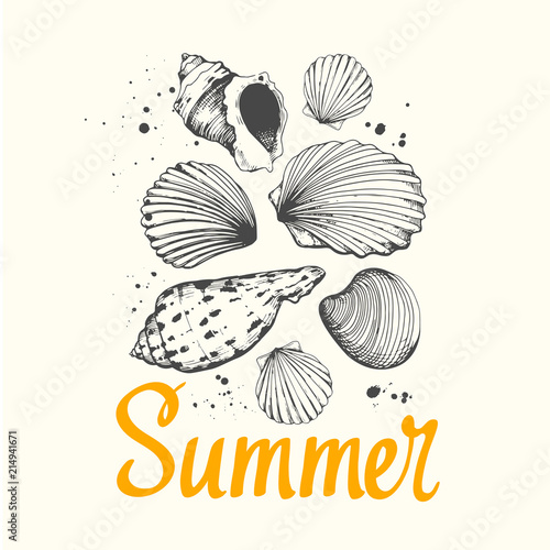 Travel vector illustration with sea shells in sketch style on pink background. Brush calligraphy elements for your design. Handwritten ink lettering.