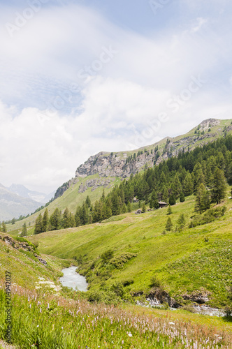 Sils, Val Fex, Fextal, Wanderweg, Fex Cresta, Furtschellas, Alpen, Marmorè, Furtschellas, Oberengadin, Graubünden, Sommer, Schweiz