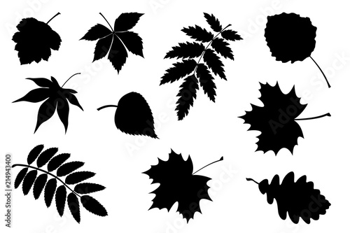 Set of silhouette leaves.
