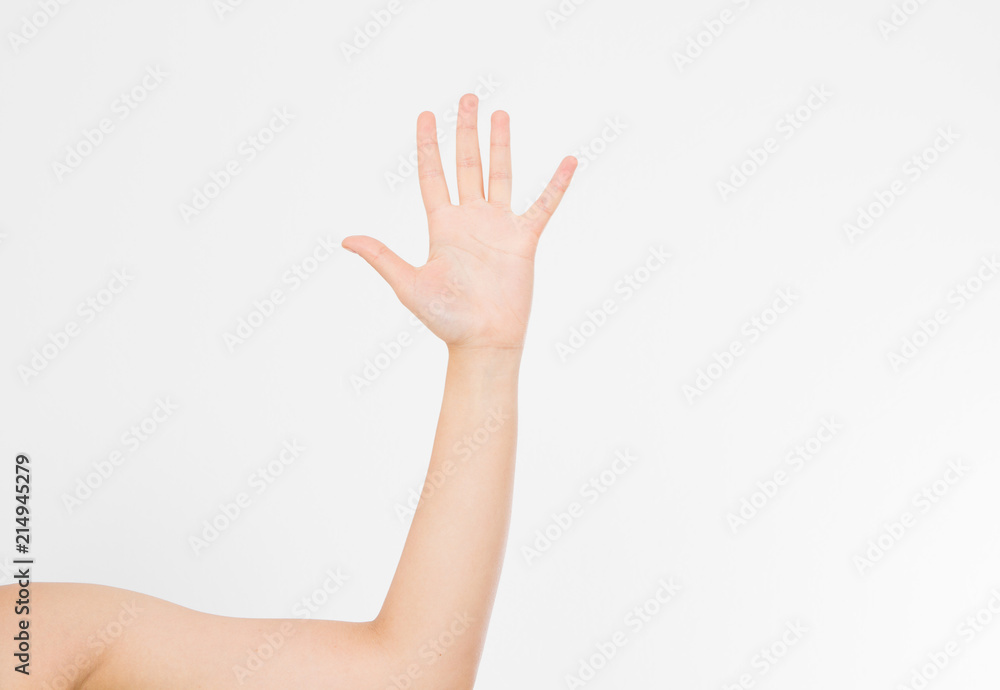 hand isolated on white.Voting hand. Mock up. Copy space. Template. Blank. hand isolated on white.Voting hand. Mock up. Copy space. Template. Blank.