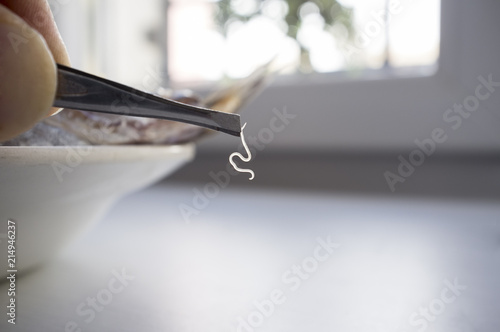 Living anisakis worm just found on raw fish