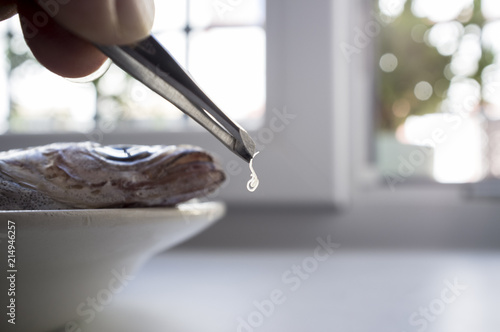 Fotografía Living anisakis worm just found on raw fish